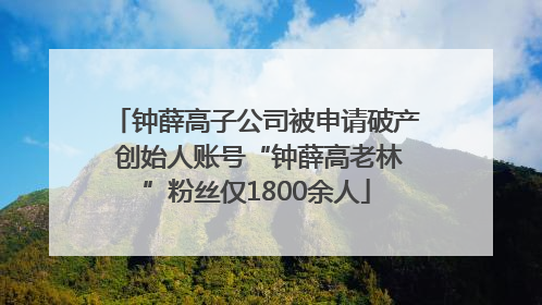 钟薛高子公司被申请破产 创始人账号“钟薛高老林”粉丝仅1800余人