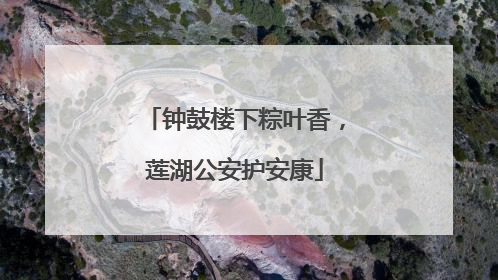 钟鼓楼下粽叶香，莲湖公安护安康