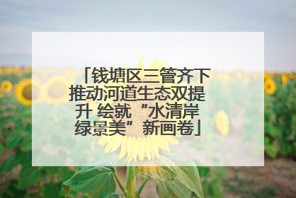 钱塘区三管齐下推动河道生态双提升 绘就“水清岸绿景美”新画卷