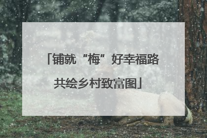 铺就“梅”好幸福路 共绘乡村致富图