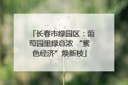 长春市绿园区：葡萄园里绿意浓 “紫色经济”焕新枝