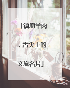 镇原羊肉：舌尖上的文旅名片
