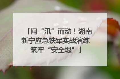 闻“汛”而动！湖南新宁应急铁军实战演练筑牢“安全堤”