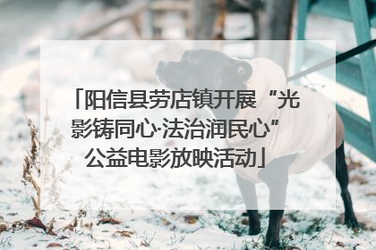 阳信县劳店镇开展“光影铸同心·法治润民心”公益电影放映活动
