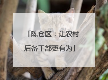 陈仓区：让农村后备干部更有为
