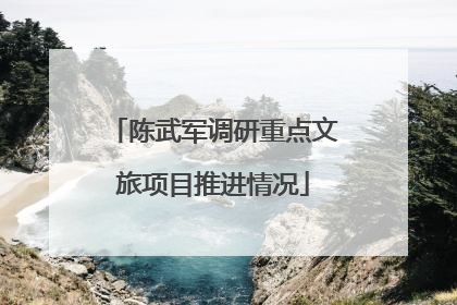 陈武军调研重点文旅项目推进情况