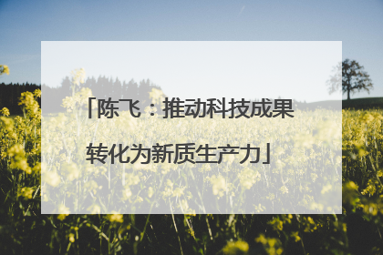 陈飞：推动科技成果转化为新质生产力