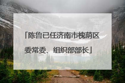 陈鲁已任济南市槐荫区委常委、组织部部长