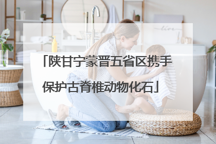 陕甘宁蒙晋五省区携手保护古脊椎动物化石