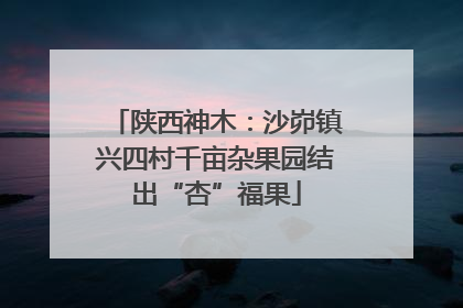 陕西神木：沙峁镇兴四村千亩杂果园结出“杏”福果