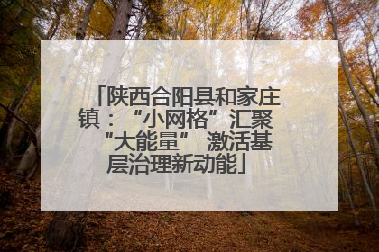 陕西合阳县和家庄镇：“小网格”汇聚“大能量” 激活基层治理新动能