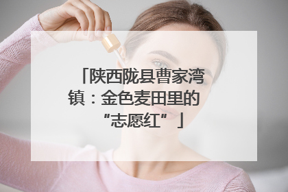 陕西陇县曹家湾镇：金色麦田里的“志愿红”