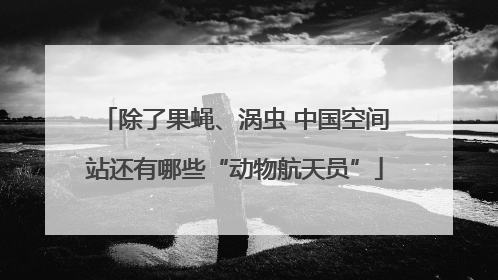 除了果蝇、涡虫 中国空间站还有哪些“动物航天员”