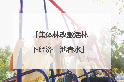 集体林改激活林下经济一池春水