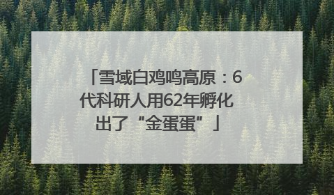 雪域白鸡鸣高原：6代科研人用62年孵化出了“金蛋蛋”