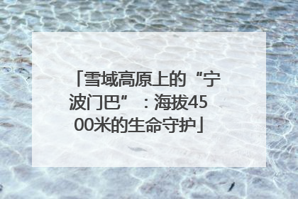 雪域高原上的“宁波门巴”：海拔4500米的生命守护
