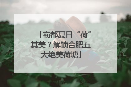 霸都夏日“荷”其美？解锁合肥五大绝美荷塘