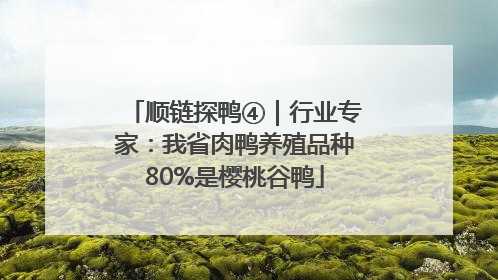 顺链探鸭④｜行业专家：我省肉鸭养殖品种80%是樱桃谷鸭