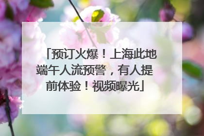 预订火爆！上海此地端午人流预警，有人提前体验！视频曝光