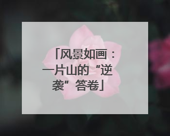 风景如画：一片山的“逆袭”答卷