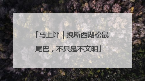 马上评｜拽断西湖松鼠尾巴，不只是不文明