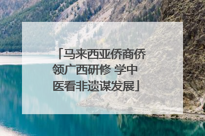 马来西亚侨商侨领广西研修 学中医看非遗谋发展