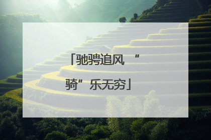 驰骋追风 “骑”乐无穷
