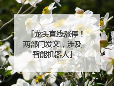 龙头直线涨停！两部门发文，涉及智能机器人