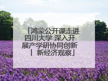 鸿蒙公开课走进四川大学 深入开展产学研协同创新丨 新经济观察