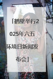 鹤壁举行2025年六五环境日新闻发布会