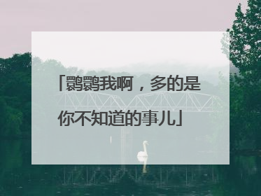 鹮鹮我啊，多的是你不知道的事儿