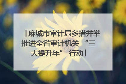 麻城市审计局多措并举推进全省审计机关 “三大提升年” 行动