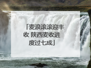 麦浪滚滚迎丰收 陕西麦收进度过七成