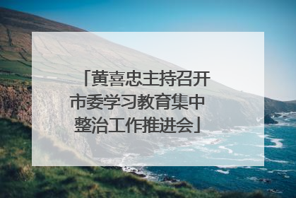 黄喜忠主持召开市委学习教育集中整治工作推进会