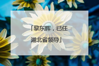 黎东辉，已任湖北省领导