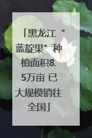 黑龙江“蓝靛果”种植面积8.5万亩 已大规模销往全国