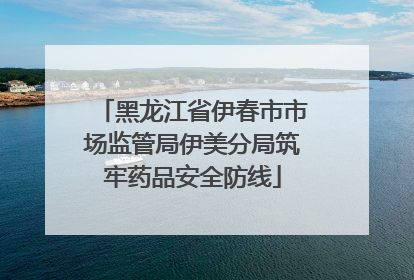 黑龙江省伊春市市场监管局伊美分局筑牢药品安全防线