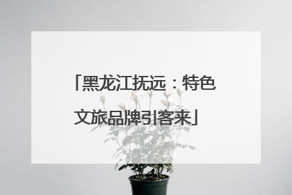 黑龙江抚远：特色文旅品牌引客来