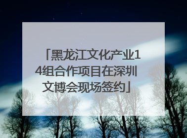 黑龙江文化产业14组合作项目在深圳文博会现场签约