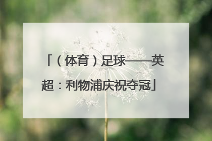 （体育）足球——英超：利物浦庆祝夺冠
