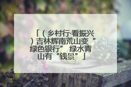 （乡村行·看振兴）吉林辉南荒山变“绿色银行” 绿水青山有“钱景”