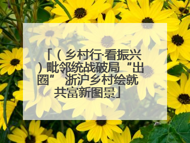 （乡村行·看振兴）毗邻统战破局“出圈” 浙沪乡村绘就共富新图景