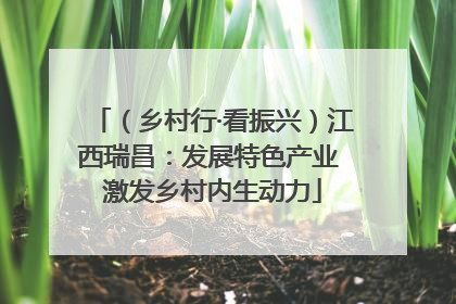 （乡村行·看振兴）江西瑞昌：发展特色产业 激发乡村内生动力