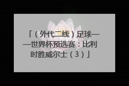 （外代二线）足球——世界杯预选赛：比利时胜威尔士（3）