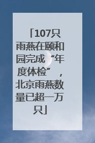 107只雨燕在颐和园完成“年度体检”，北京雨燕数量已超一万只