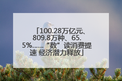 100.28万亿元、809.8万种、65.5%……“数”读消费提速 经济潜力释放