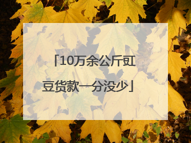 10万余公斤豇豆货款一分没少