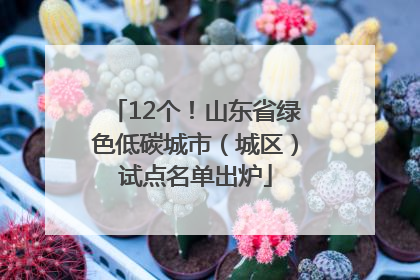 12个！山东省绿色低碳城市（城区）试点名单出炉