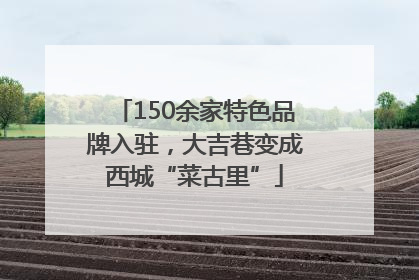 150余家特色品牌入驻，大吉巷变成西城“菜古里”