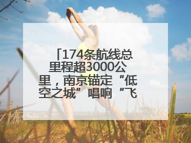 174条航线总里程超3000公里，南京锚定“低空之城”唱响“飞得更高”